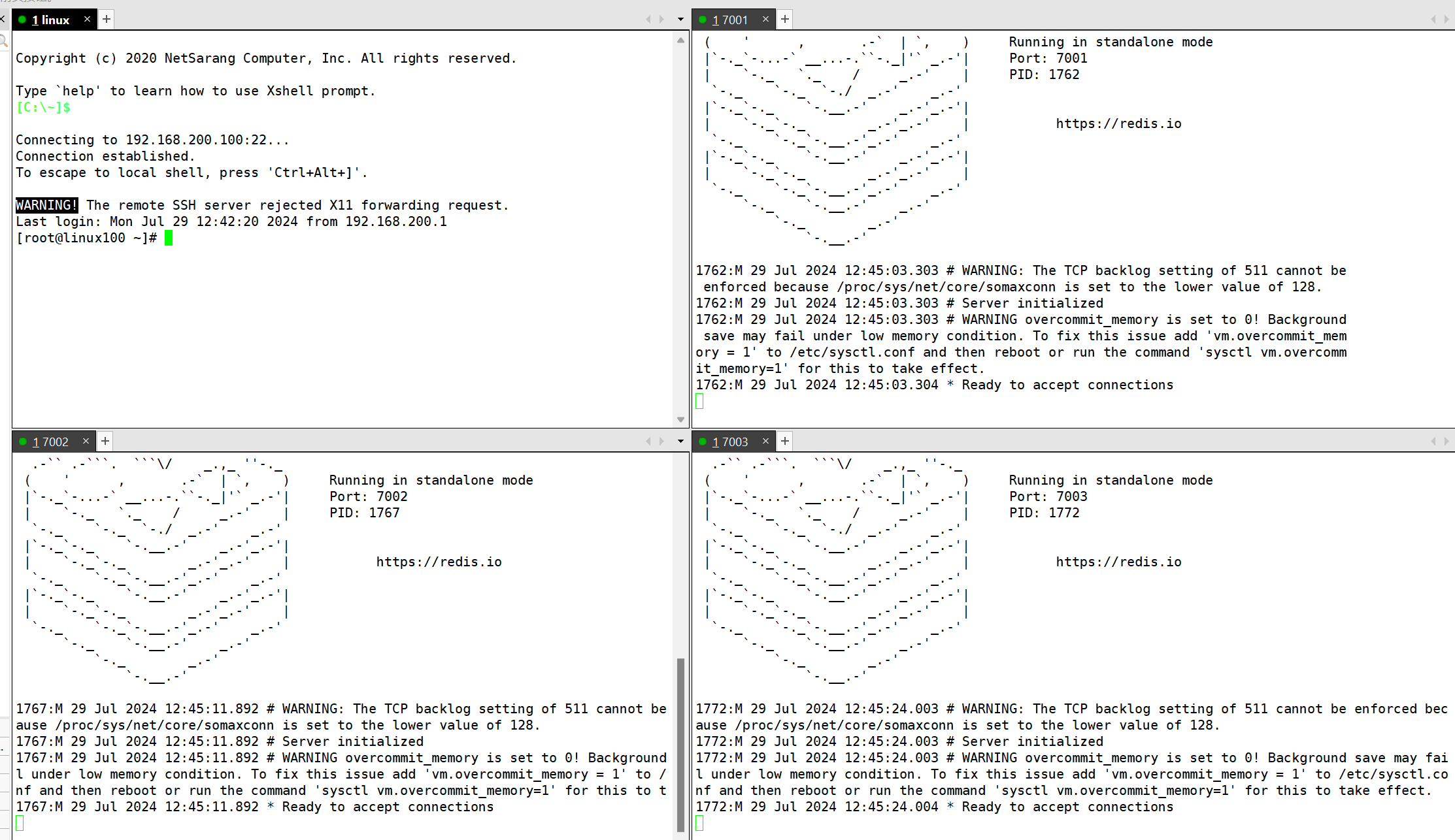 image-20240729124715139