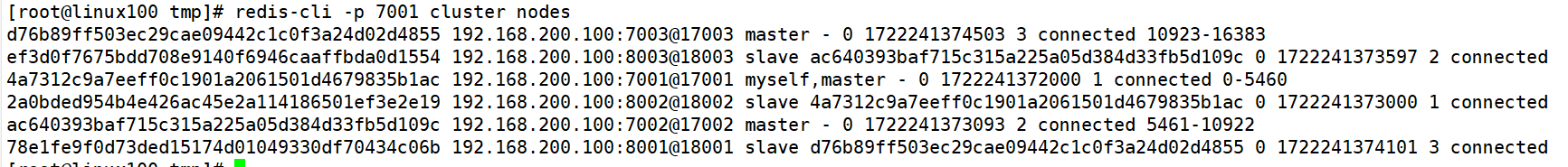 image-20240729162313633