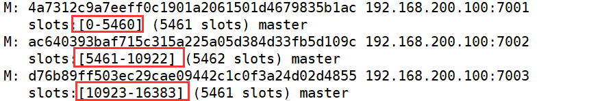 image-20240729162643490