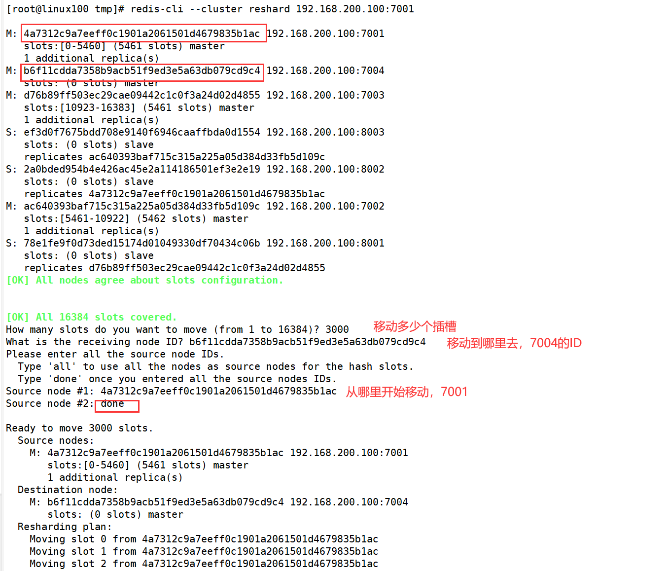 image-20240729170542378