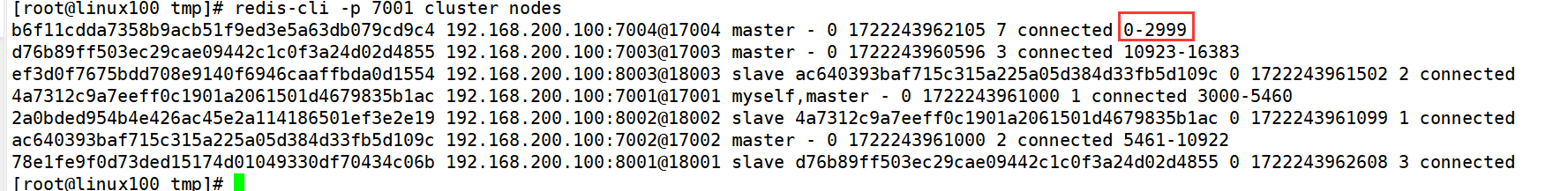 image-20240729170617508