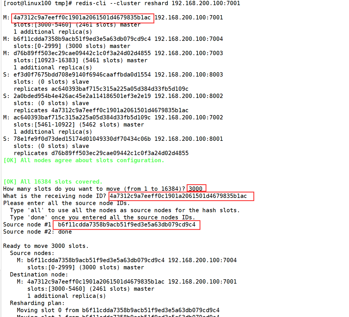 image-20240729171304087