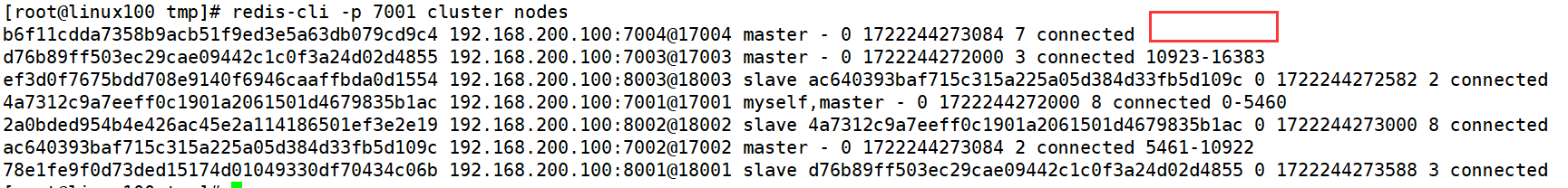 image-20240729171427664