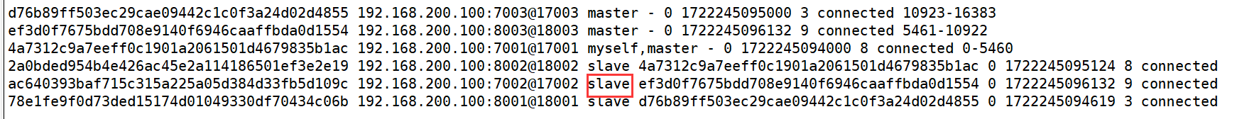 image-20240729172509178