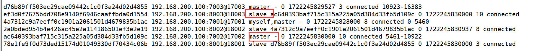 image-20240729173726245